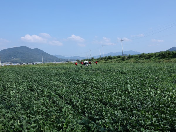장호원 콩밭